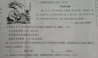 小学五年级数学期末考试质试卷质量分析怎么写 五年级期末试卷